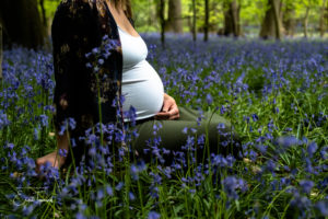 Maternity image of woman sat in bluebelll woods